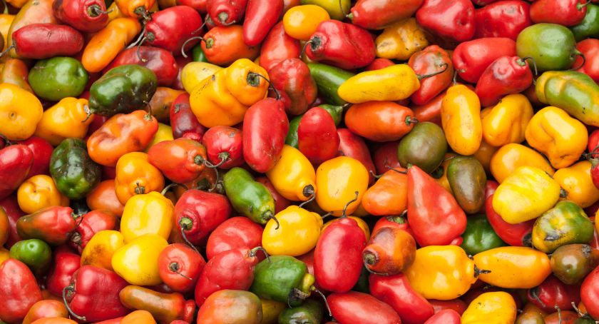 High Carotenoids Associated with Lower Obesity Risk in Adolescents: Study